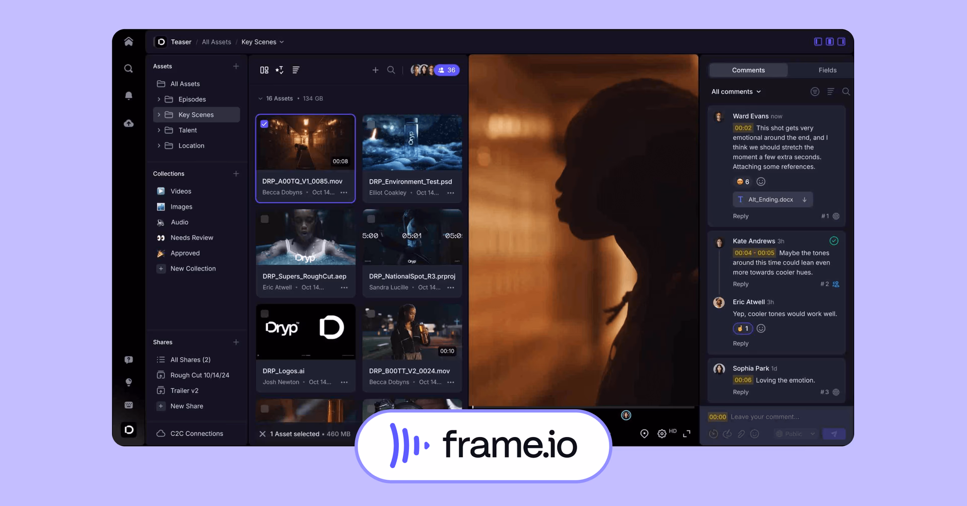 Frame.io interface